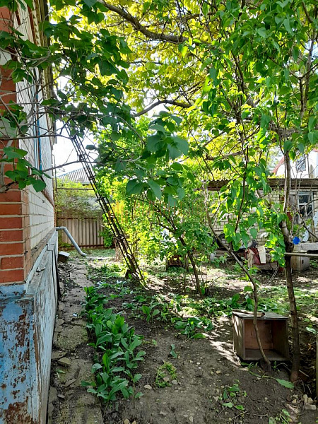 Дом, 64 кв.м. (№2716)