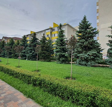 Агамов Али