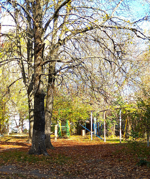 2-к квартира, 66 кв.м. (№2823)