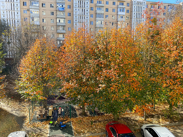 2-к квартира, 91 кв.м. (№2814)