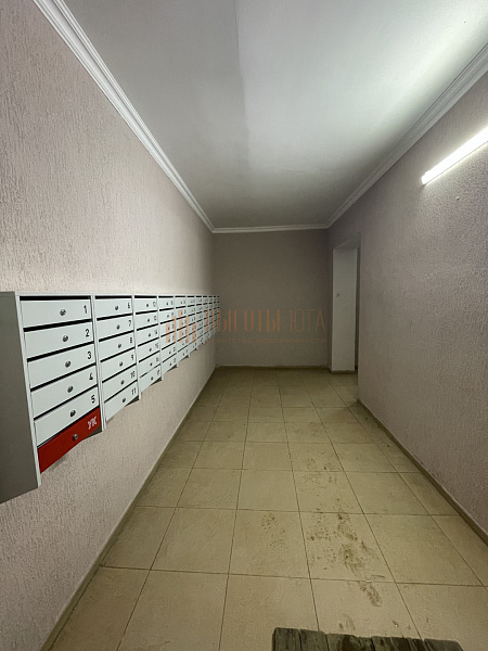2-к квартира, 57 кв.м. (№2917)