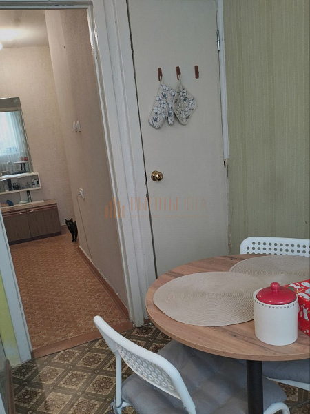 2-к квартира, 51 кв.м. (№2873)